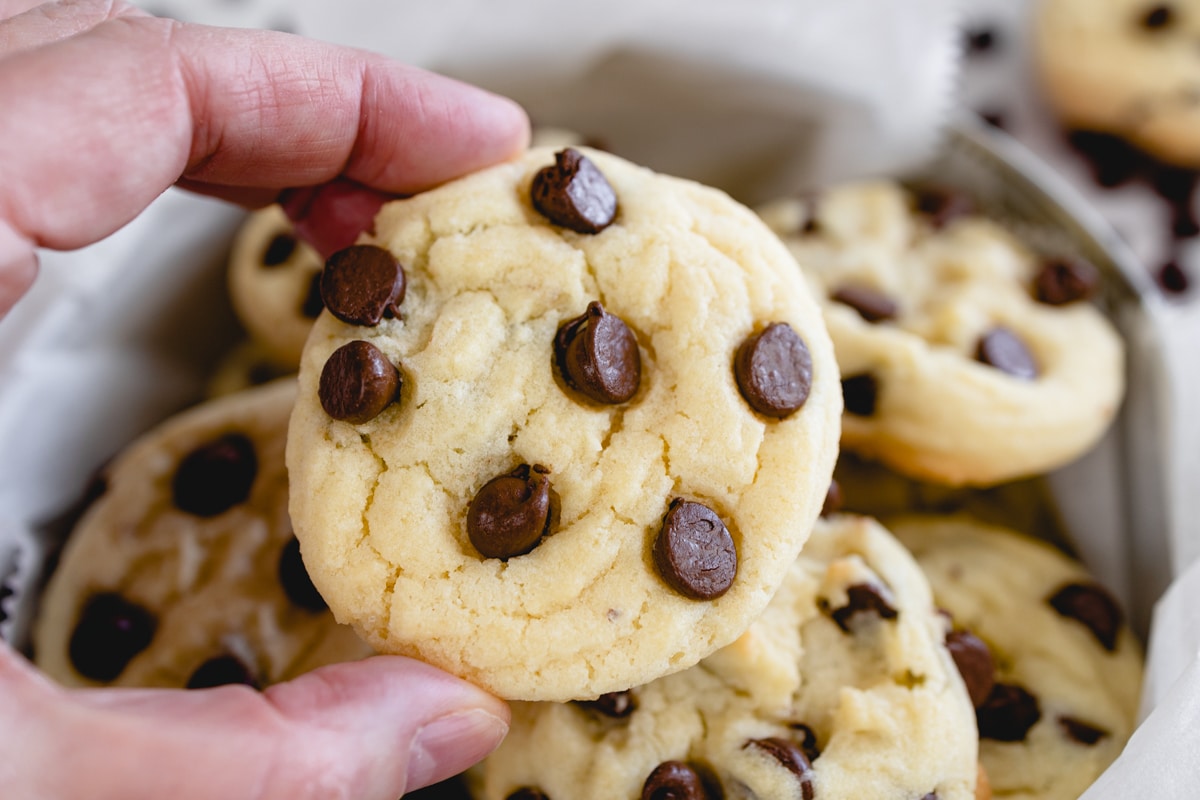 Chocolate Chip Cookie recipe without brown sugar