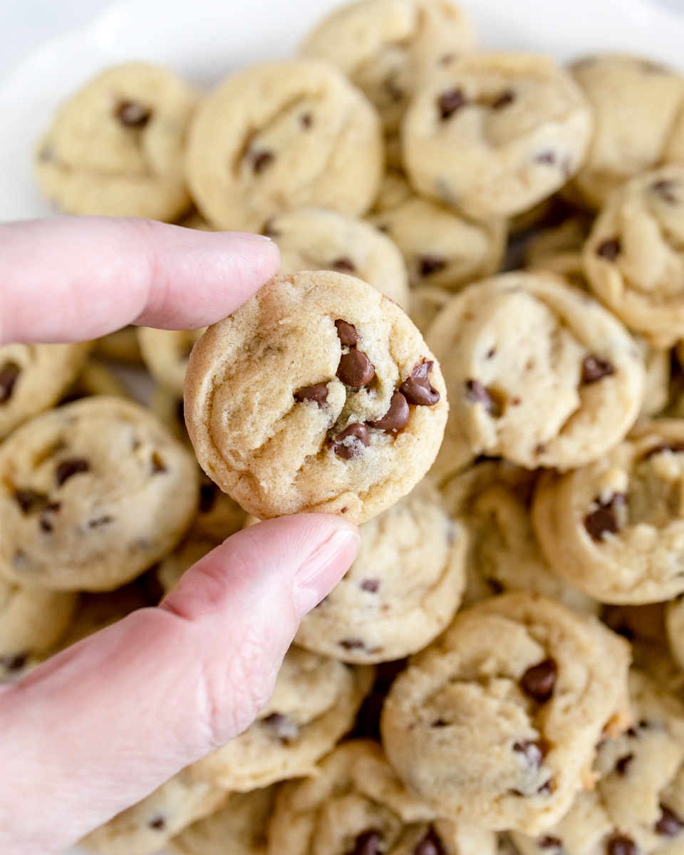 https://bestcookierecipes.com/wp-content/uploads/2022/04/Mini-Chocolate-Chip-Cookies_Best-Cookie-Recipes_-202.jpg