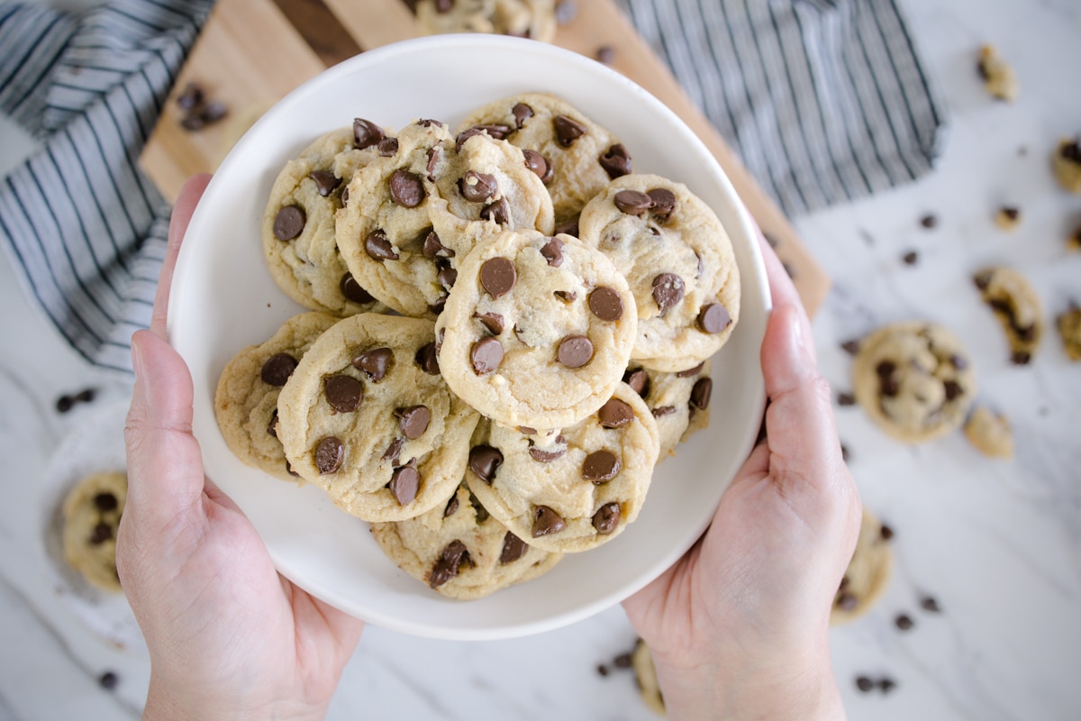 One Bowl Small Batch Chocolate Chip Cookies