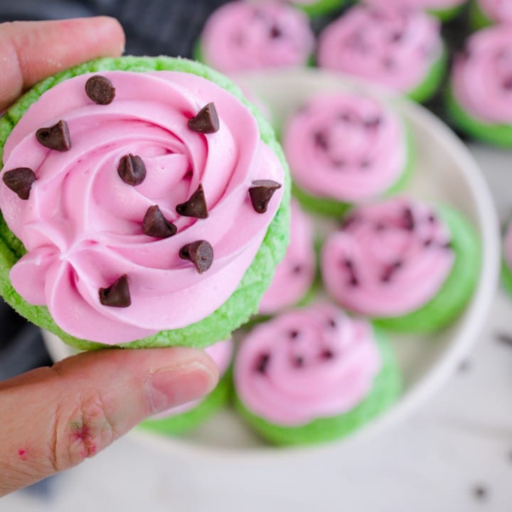 Easy Watermelon Cookies