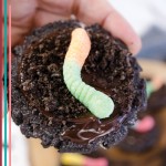 Pinterest Hidden Image