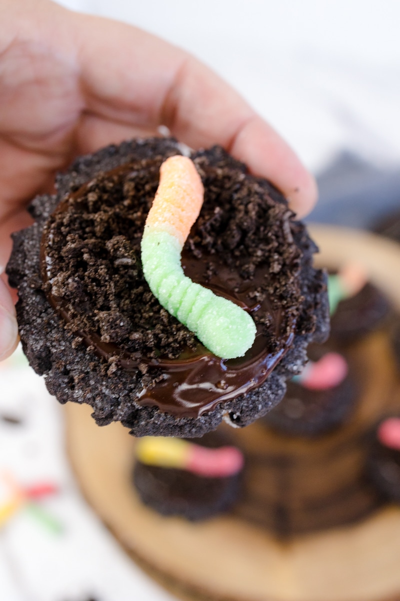 Dirt and Worms Cookies