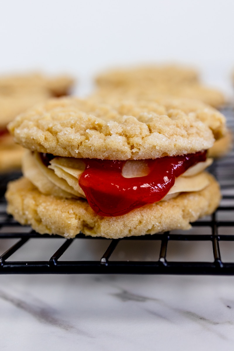 Peanut Butter and Jelly Sandwich Cookie