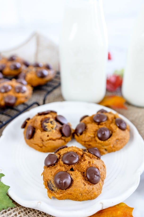 Spice Cake Pumpkin Cookies W Chocolate Chips