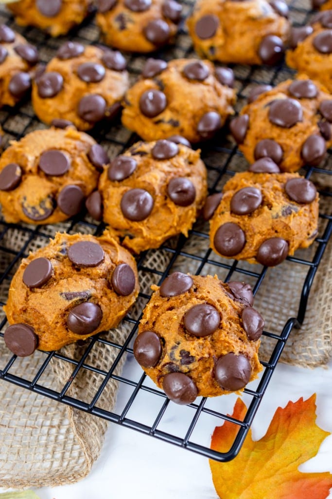 Spice Cake Pumpkin Cookies w/ Chocolate Chips