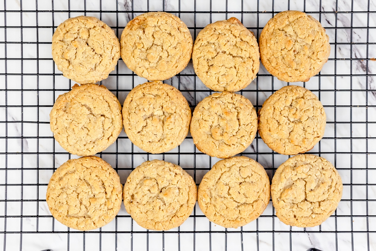 Top view of oatmeal cookies in a grid on a wire rack.