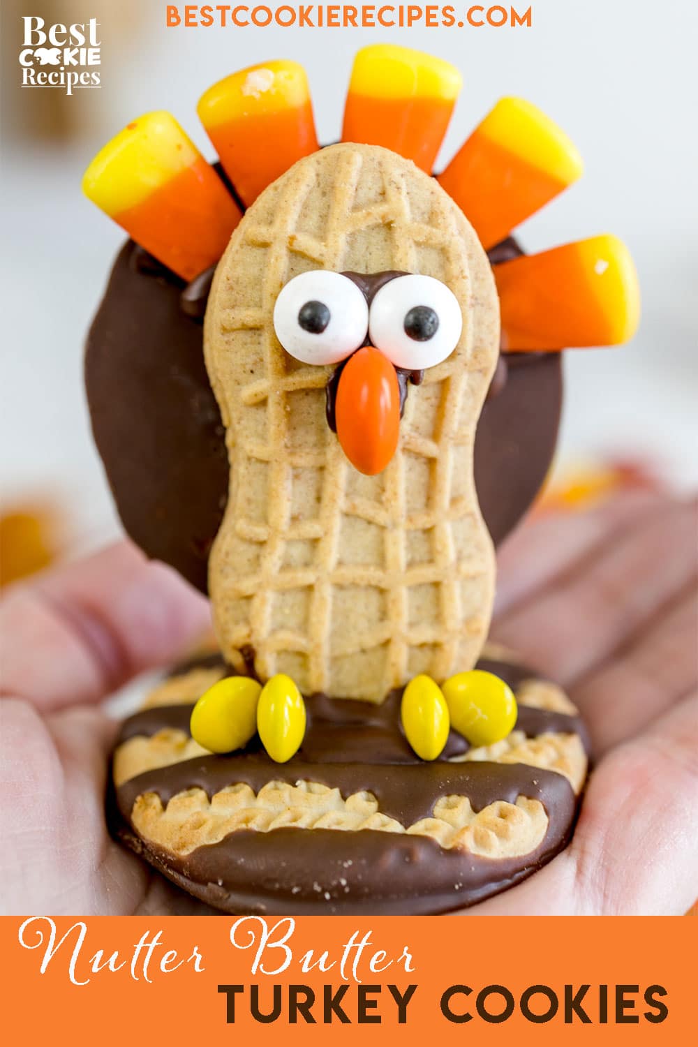 Pinterest Hidden Image