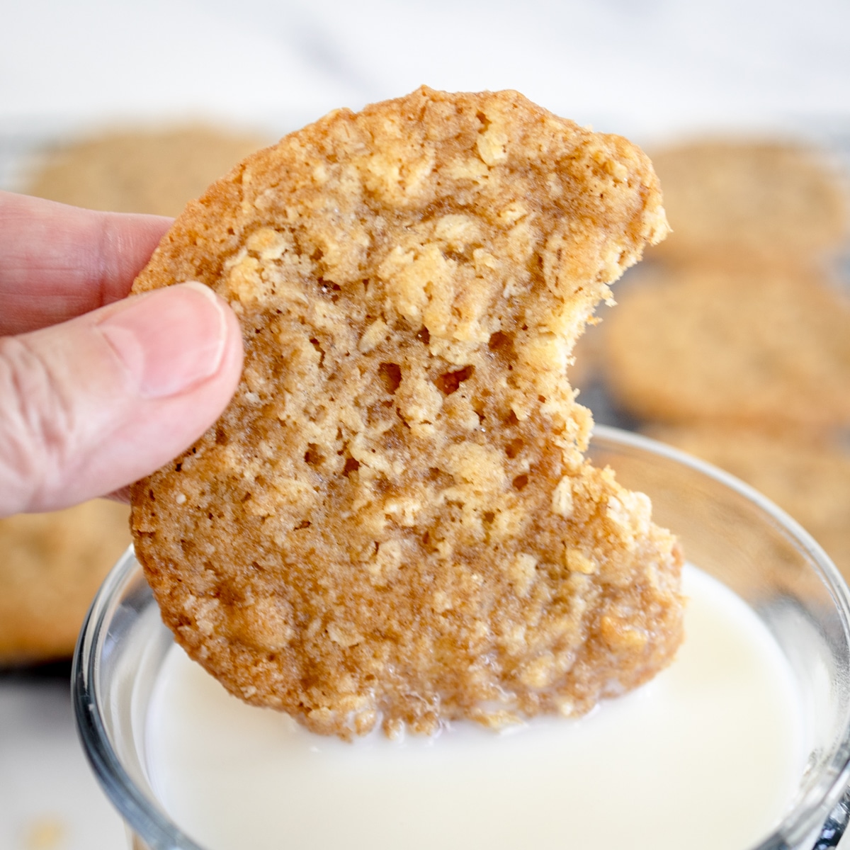 Famous Quaker Oatmeal Cookie Recipe
