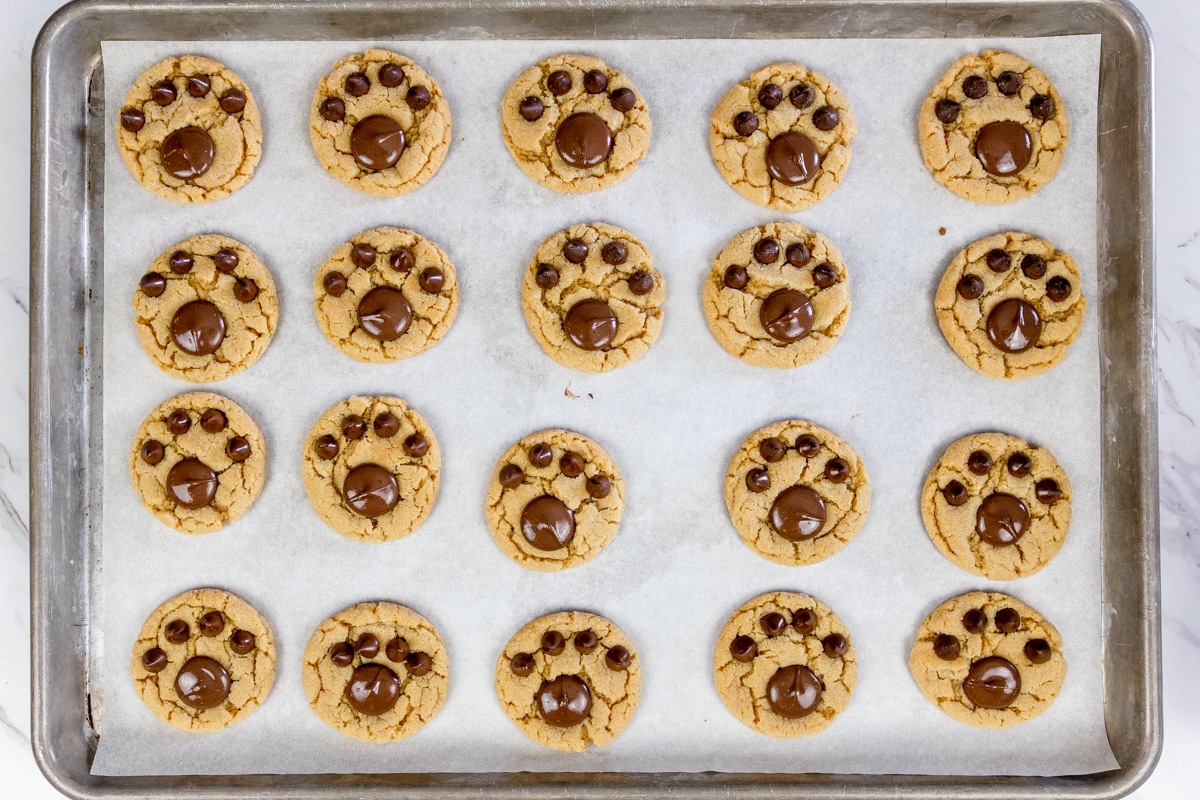 Bear Paw Cookies on Cookie Sheet