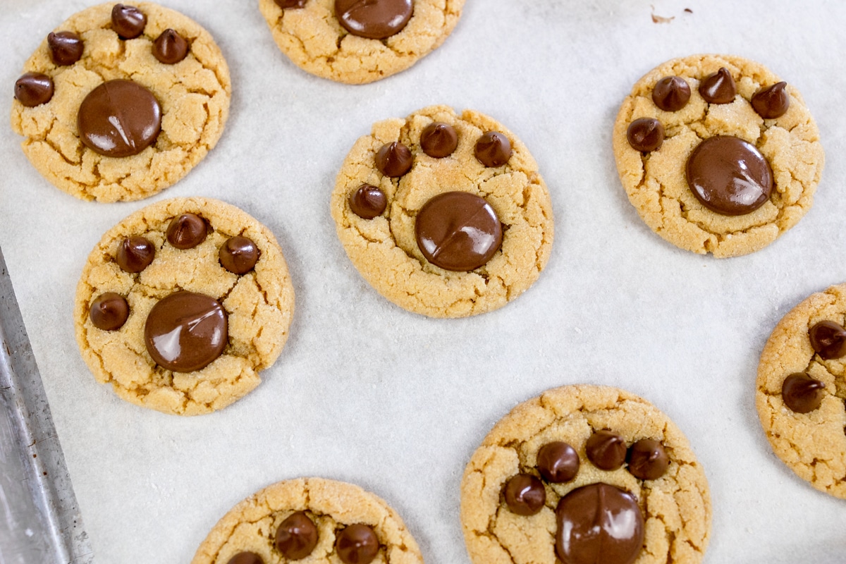 Bear Paw Cookies