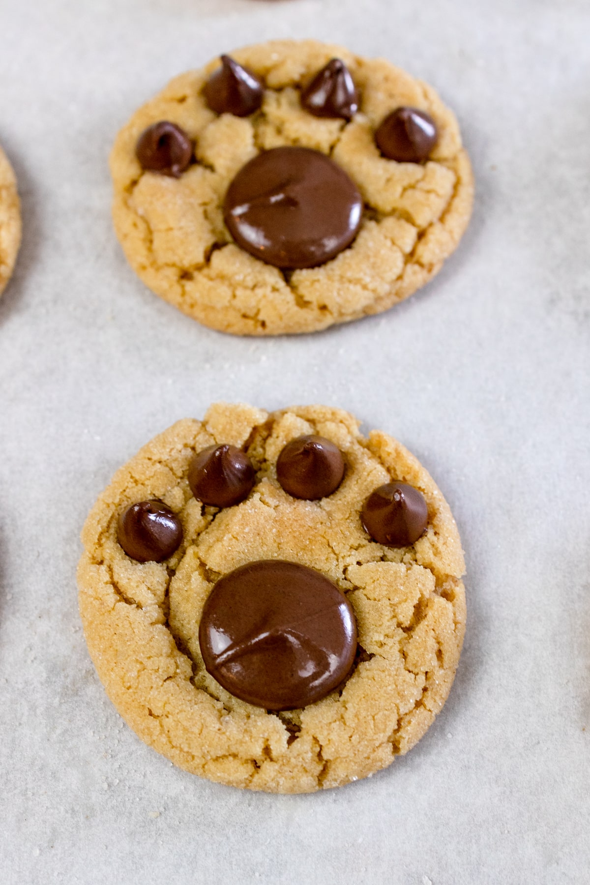 Bear Paw Cookies