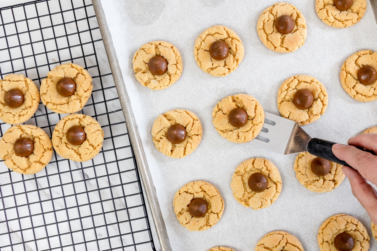 Top view of peanut butter blossom cookies being transferred to a wire rack for cooling.