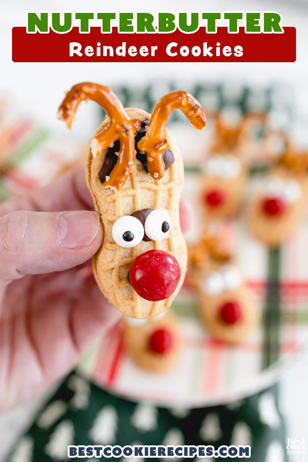 Pinterest Hidden Image