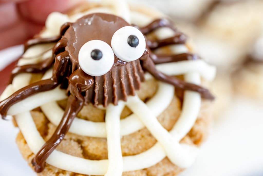 Close up of a spider cookie.