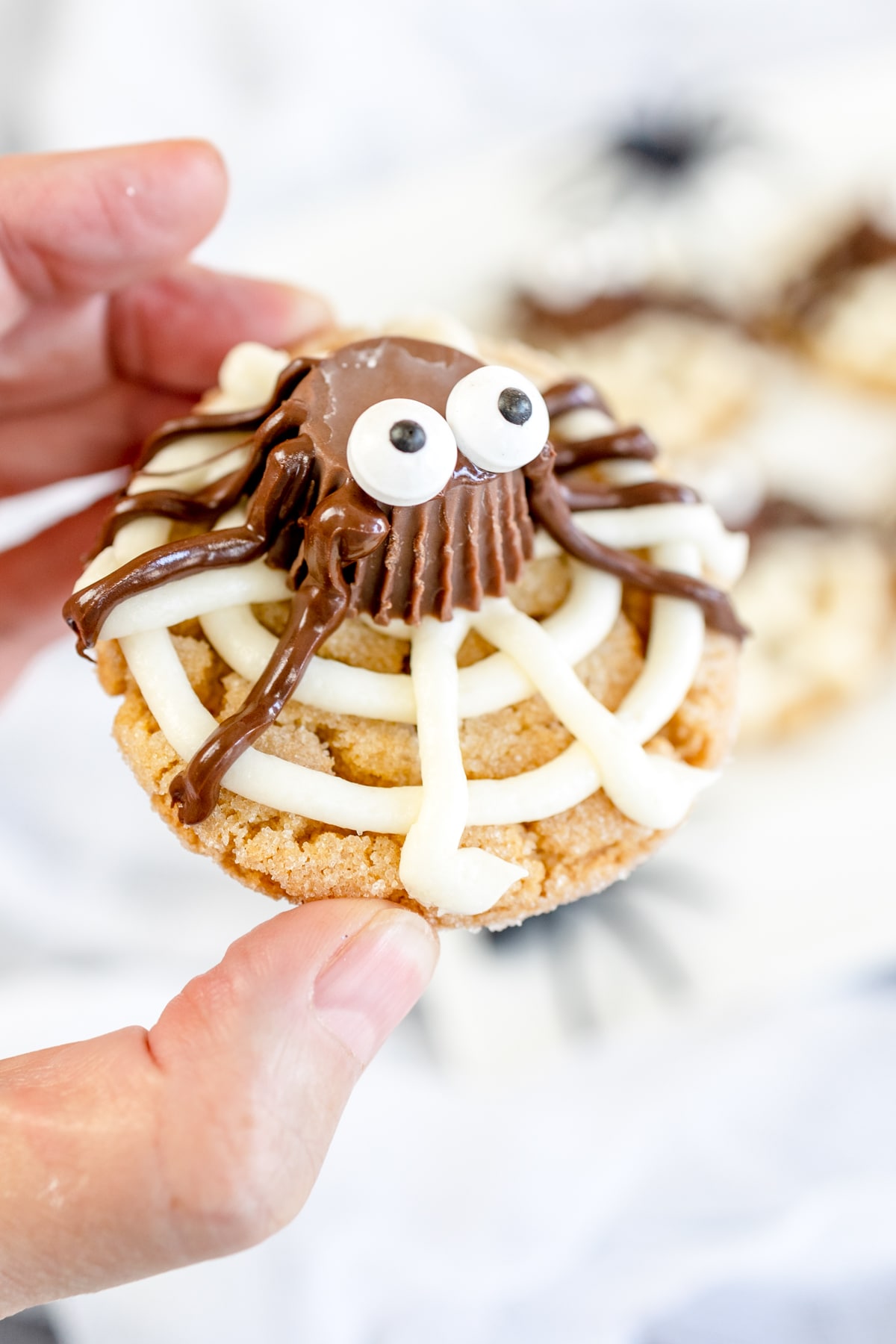 Close up of someone holding a spider cookie.