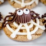 Close up of a spider cookie.