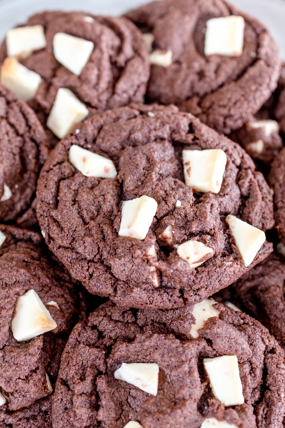 Close-up of Peppemint Bark Cookies in a pile. 