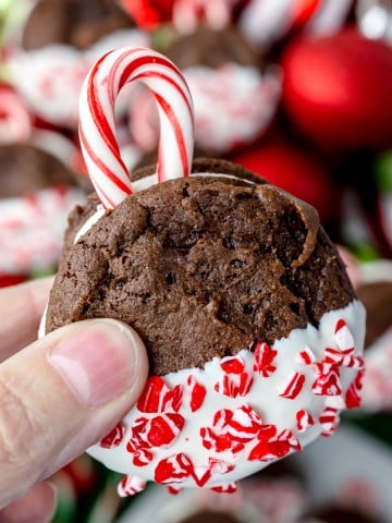 Christmas Ornament Cookies