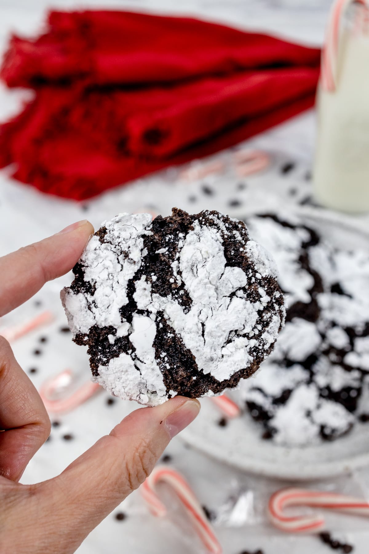 Close up of a chocolate peppermint crinkle cookie being held up by two fingers. 