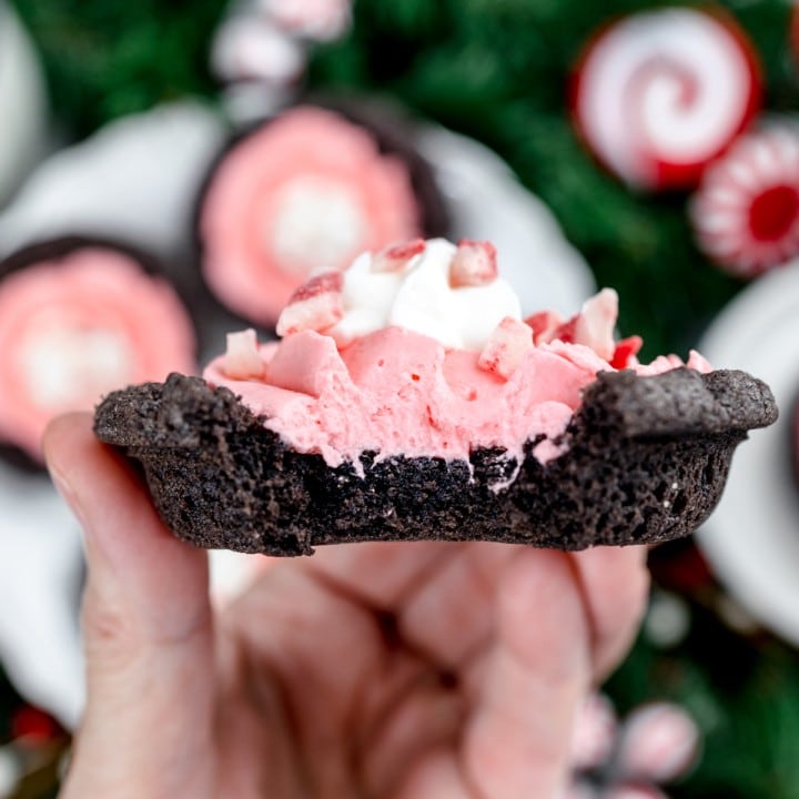 Easy Peppermint Pie Cookies Recipe (Candy Cane Pie)