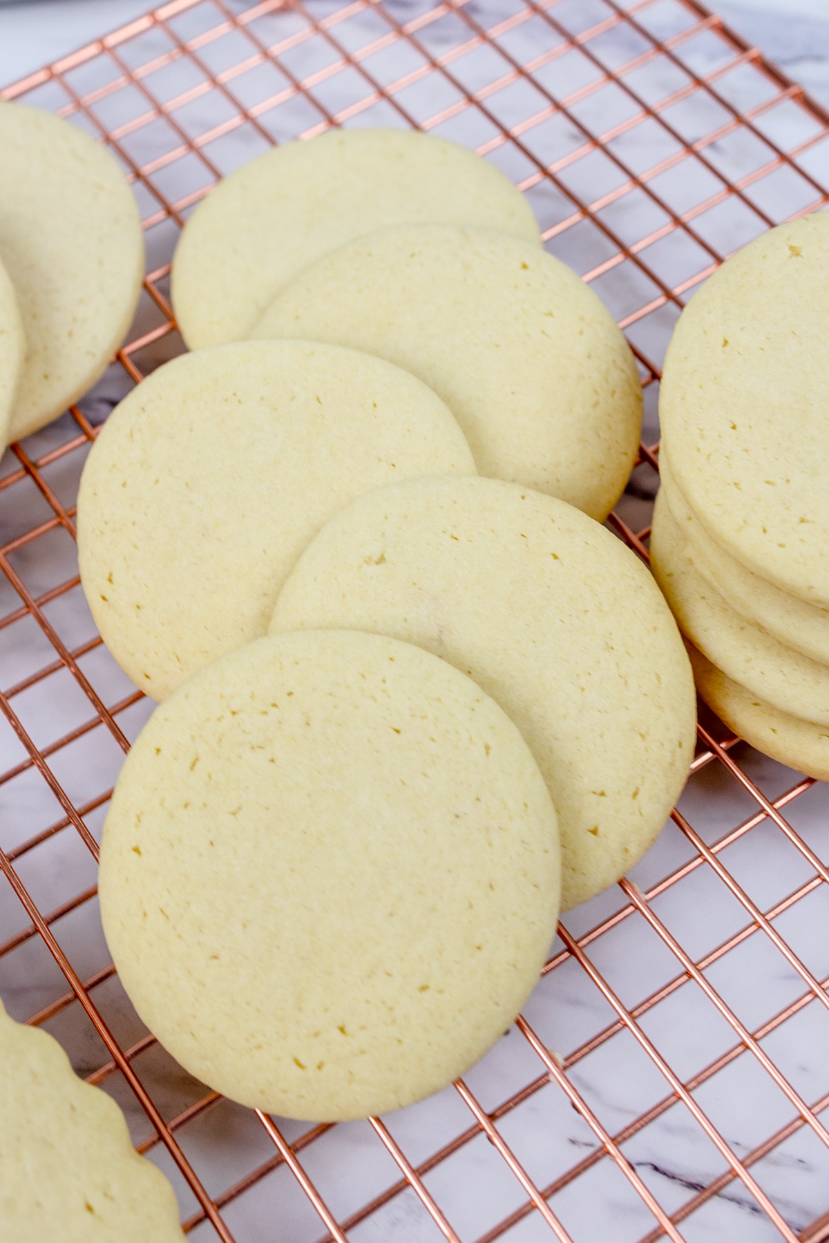 Close up of circle sugar cookies.