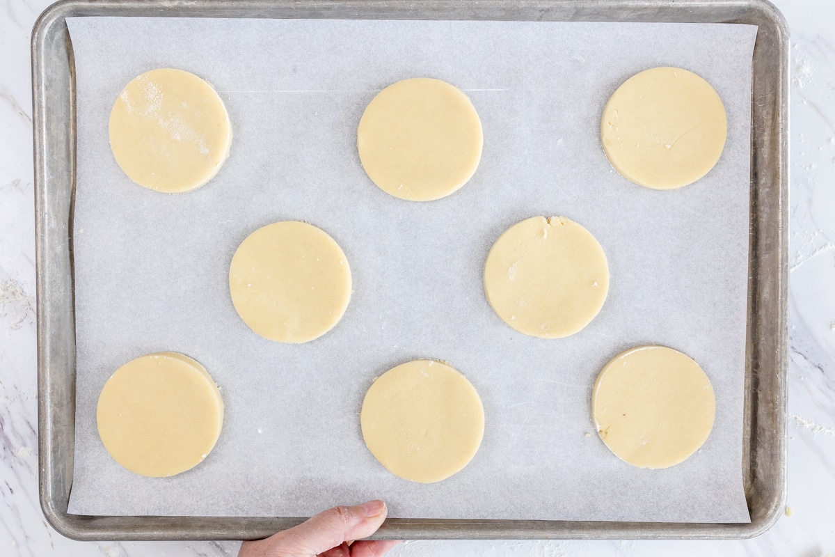 Top view of baking tray with circles of unbaked sugar cookies on it.