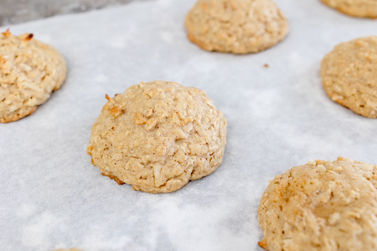 Close up of oatmeal cookies freshly baked on a baking tray on parchment paper. 
