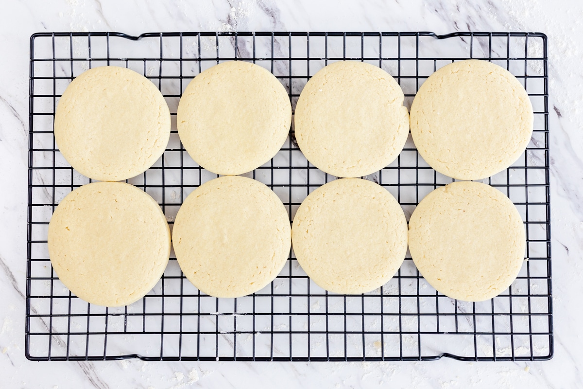 Top view of freshly baked circle sugar cookies on a wire rack. 
