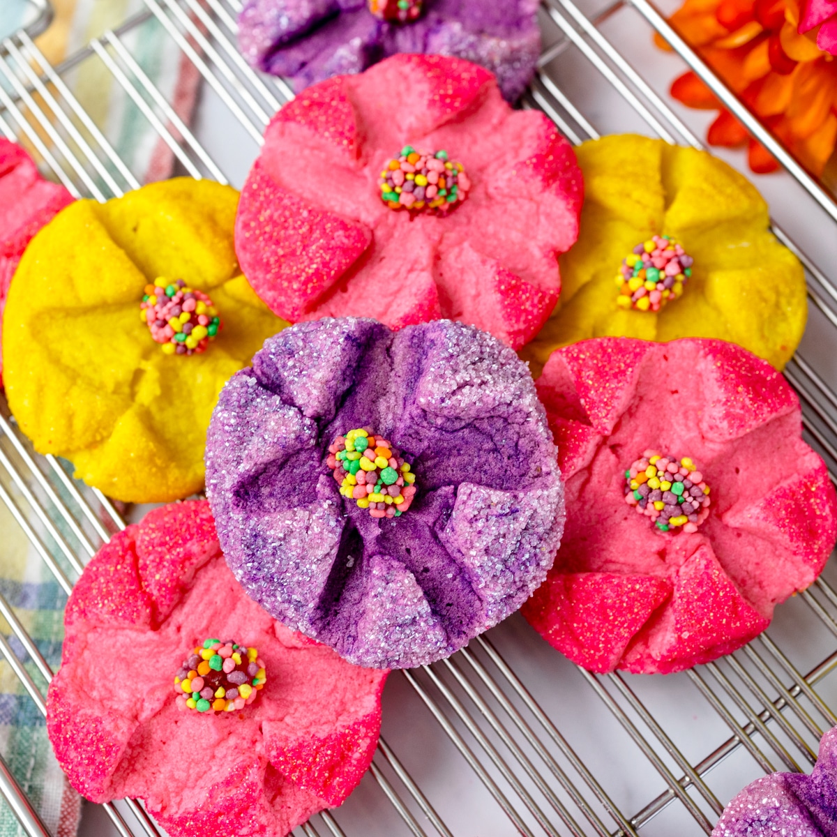 Spring Flower Sugar Cookies » Hummingbird High