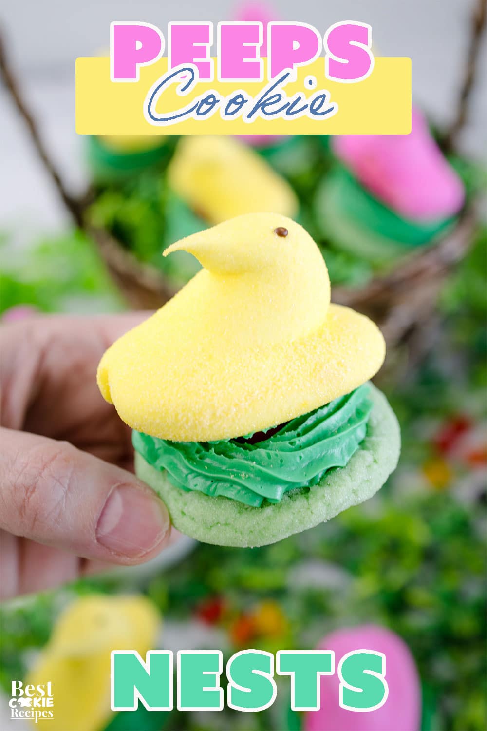 Pinterest Hidden Image