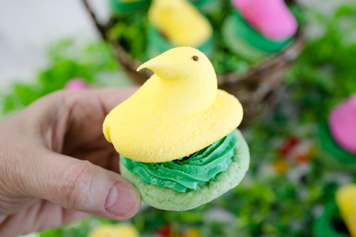 Close up of a Peep Cookie Nest with a yellow chick on top. 