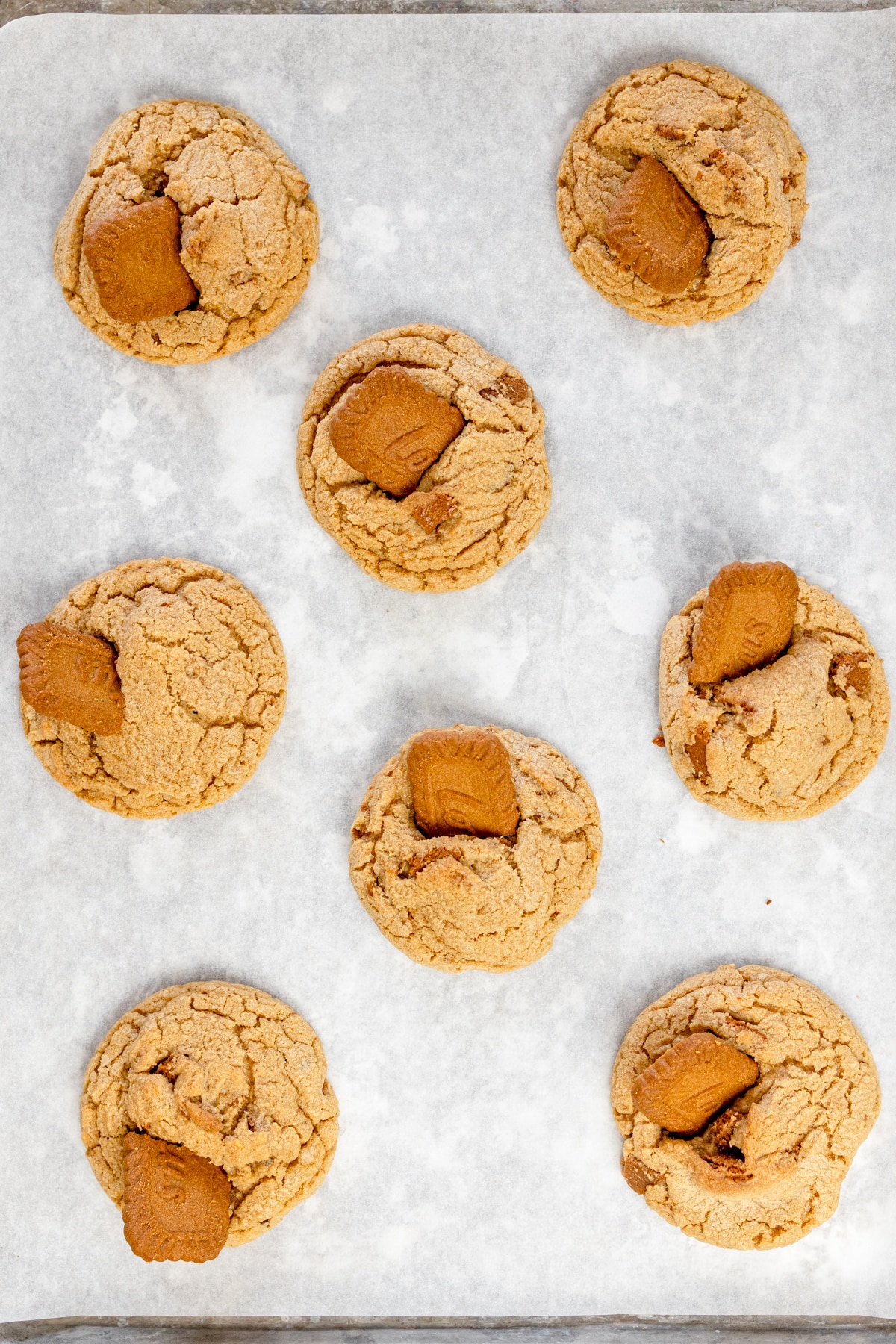 Top view of freshly baked Biscoff cookies with halved Biscoff cookies sticking out of them from the center.