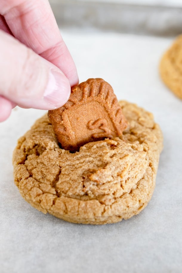 Biscoff Cookie Recipe with Cookie Butter Best Cookie Recipes
