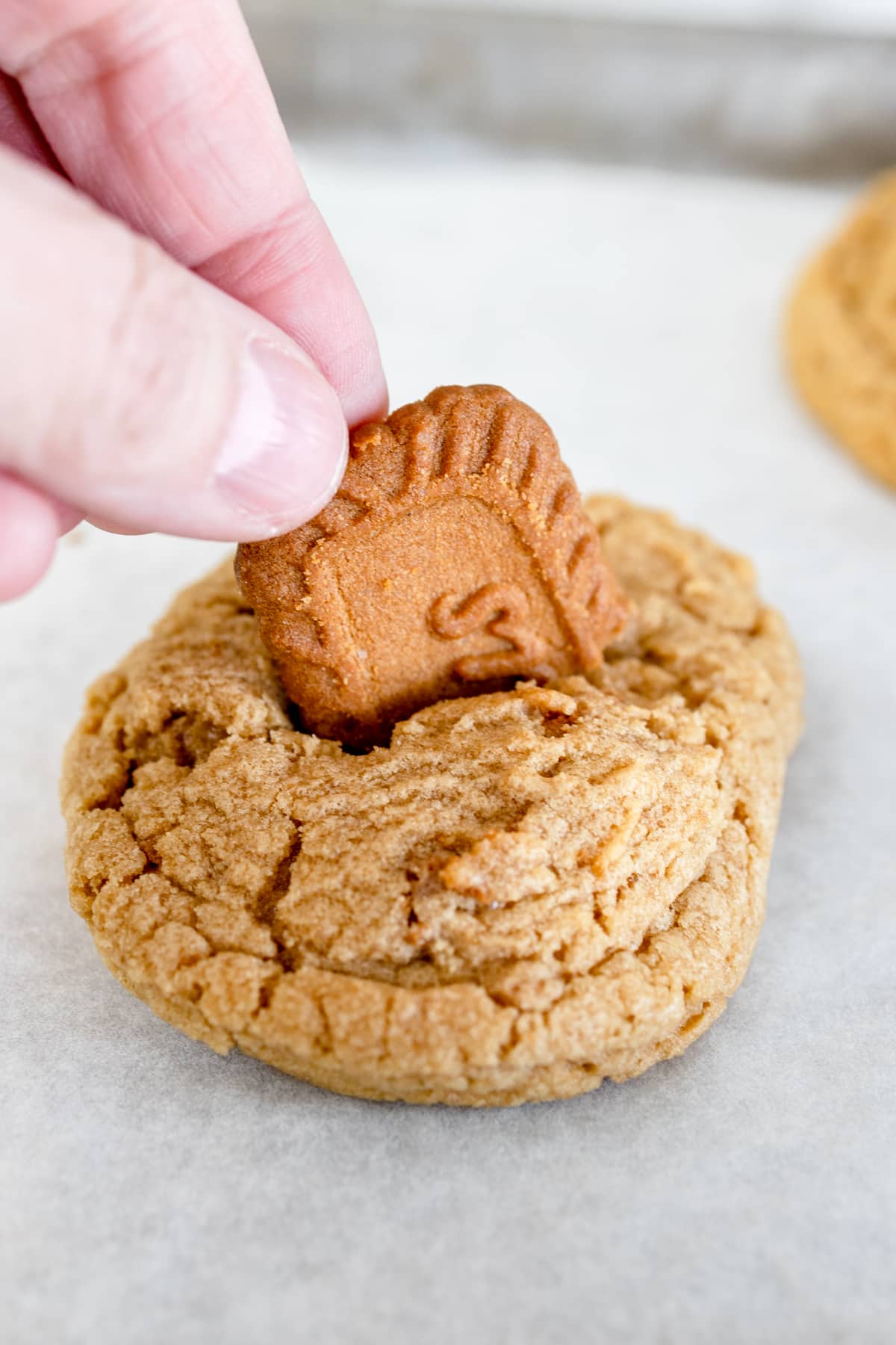 Close up of a freshly baked Biscoff cookie with a broken official Biscoff cookie being added to the center of the cookie.