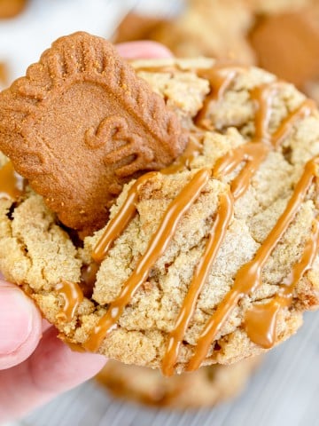Top view of a Biscoff Butter Cookie being held in mid-air by a hand.