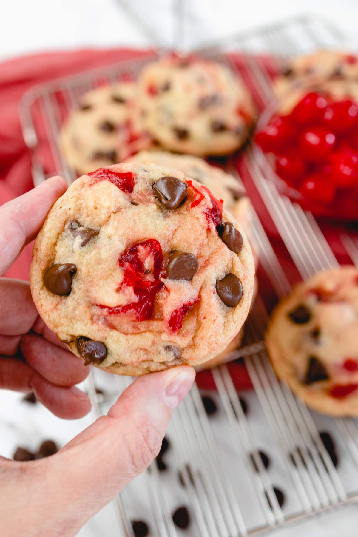 Close up of a Cherry Chocolate Chip Cookie being held in mid air by a hand.