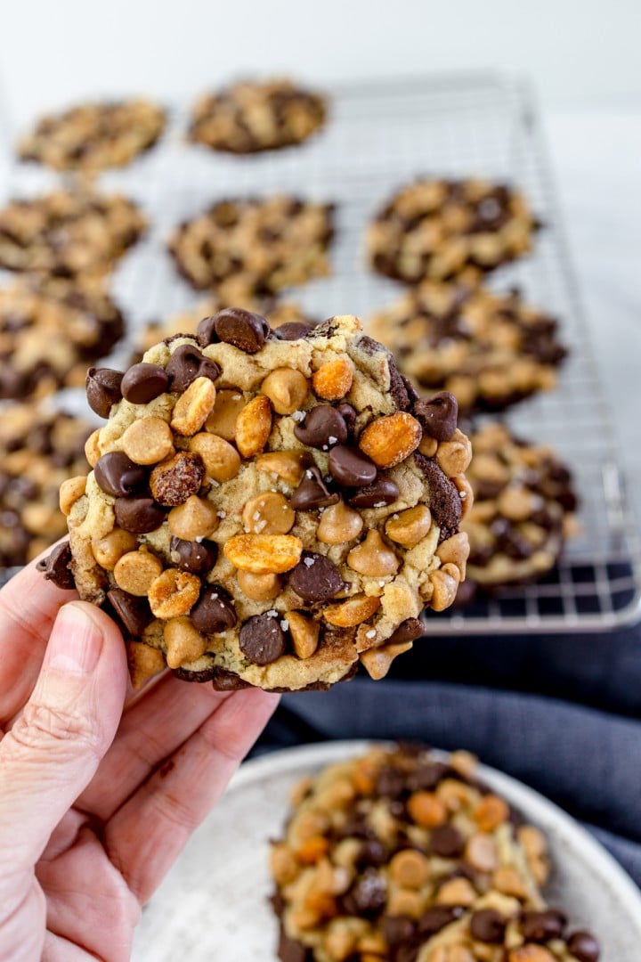 Peanut Butter Chocolate Swirl Cookies Gideon's Bakehouse Copycat