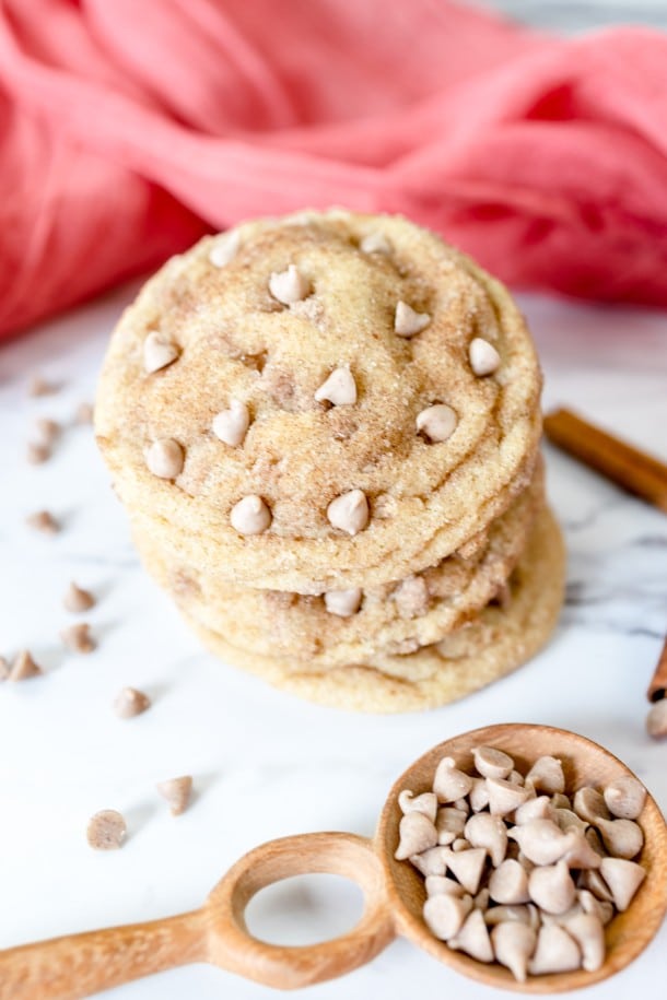 Tasty Cinnamon Chip Cookies with a Snickerdoodle twist