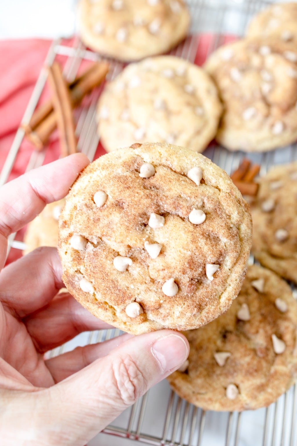 Tasty Cinnamon Chip Cookies with a Snickerdoodle twist