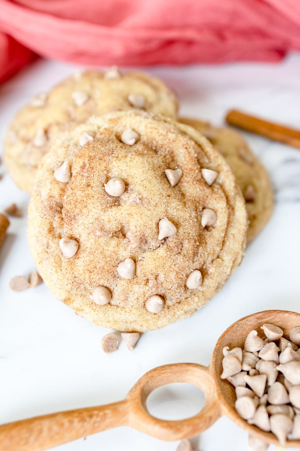 Tasty Cinnamon Chip Cookies with a Snickerdoodle twist