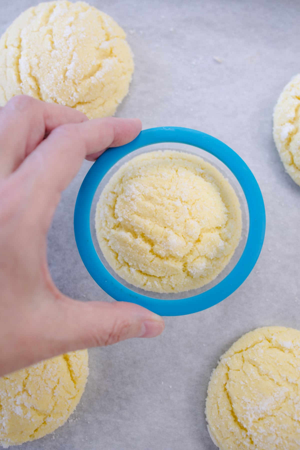 Top view of a freshly baked lemon cookie with a large cookie cutter around it.