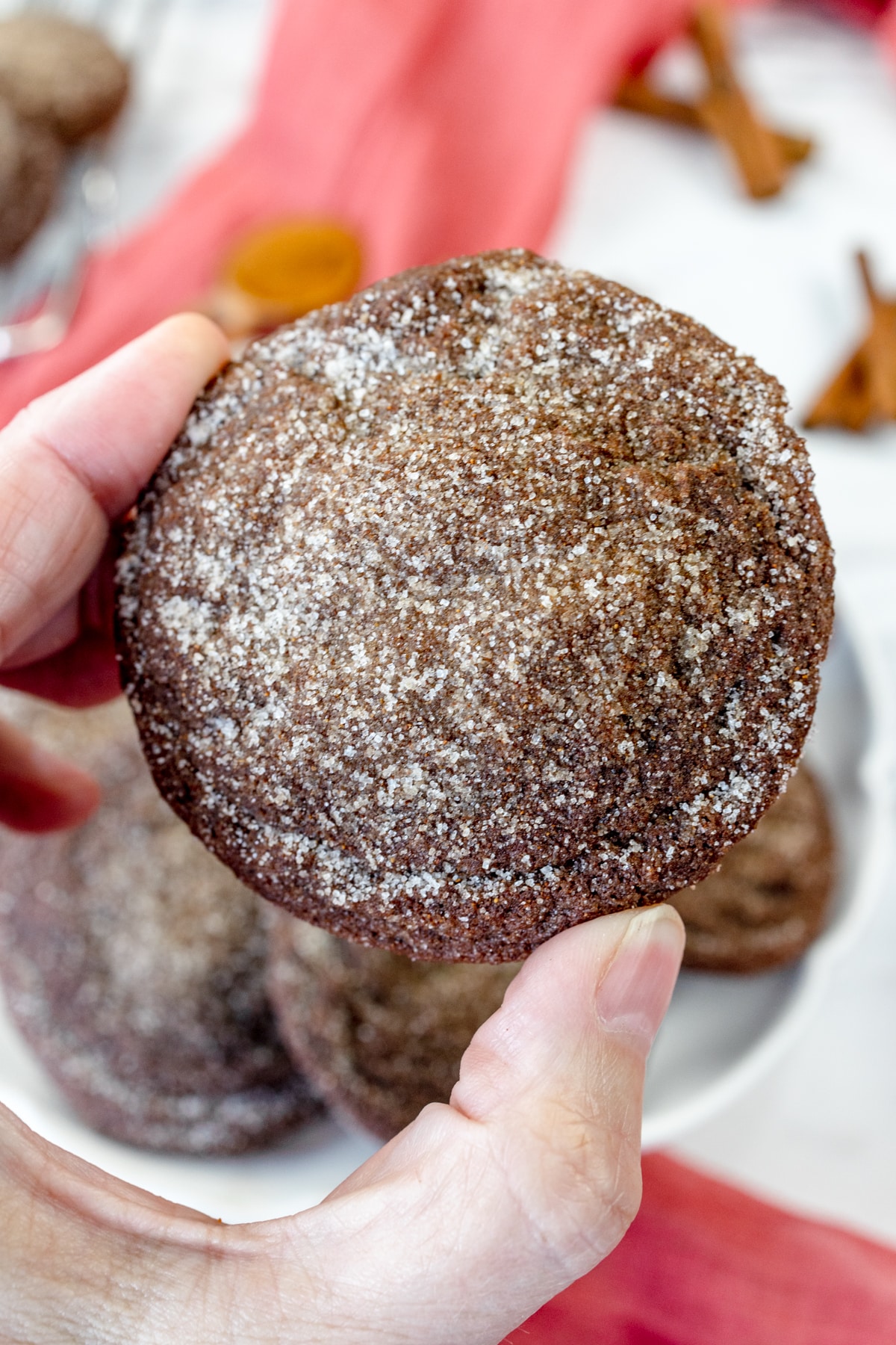 Close up of a chocolate snickerdoodle being held in mid-air by a hand. 