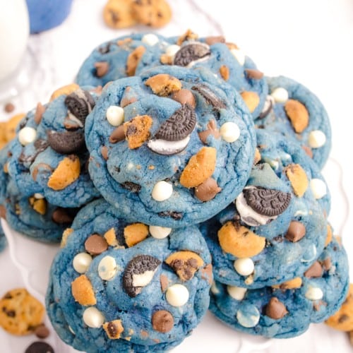 Cookie-Monster-Cookies_Best-