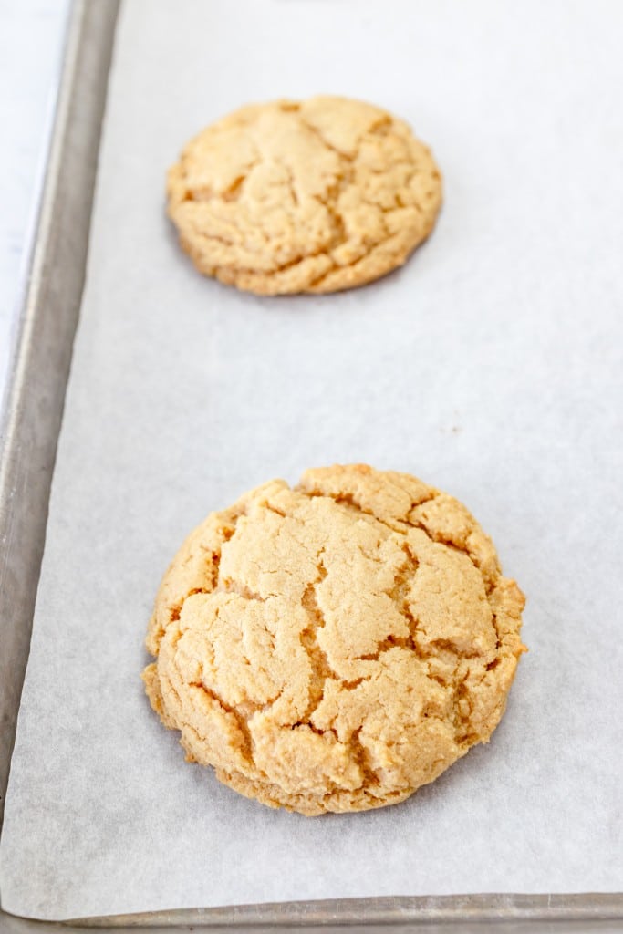 Close up of two peanut butter cookies on parchment paper on a baking tray.