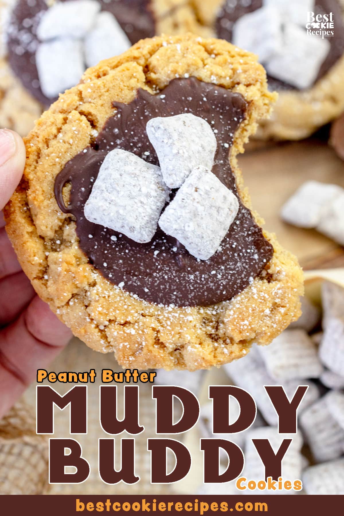 Pinterest Hidden Image