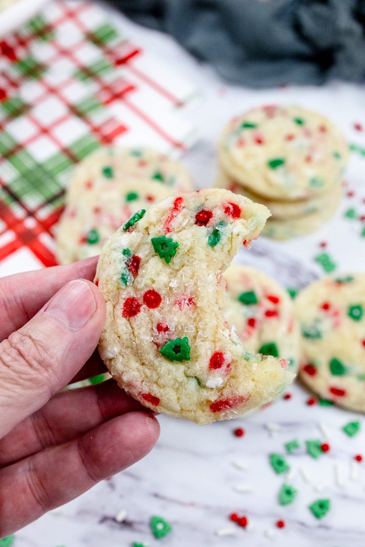 Close up of someone holding up a Christmas Sugar Cookie in their hand.