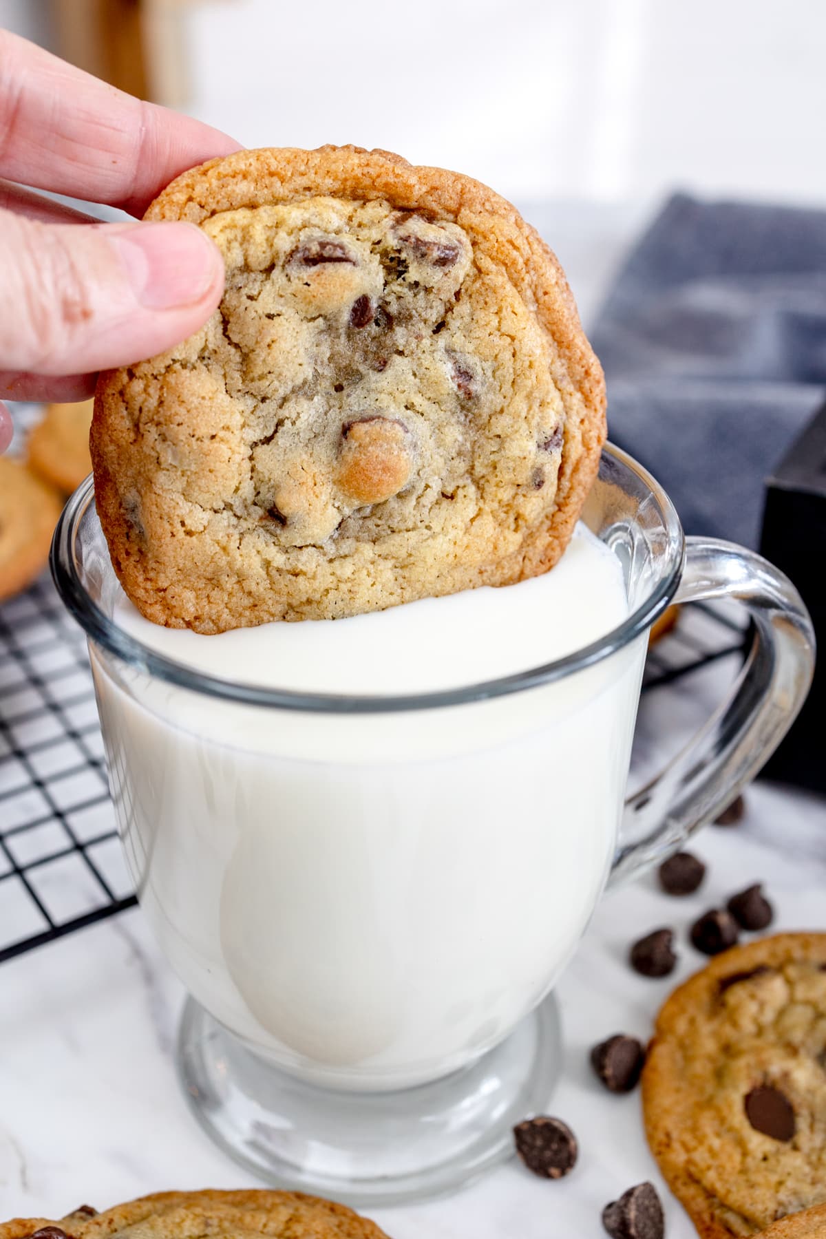 Trader Joes Chocolate Chip Cookies