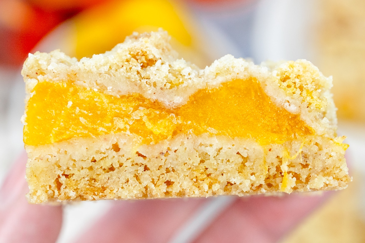 Close up image of a hand holding a Peach Pie Bar.